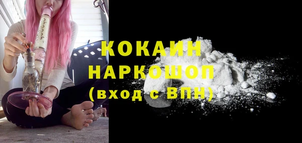 винт Гусь-Хрустальный