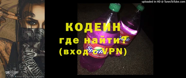 таблы Гусев