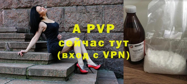 таблы Гусев
