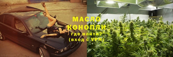 таблы Гусев