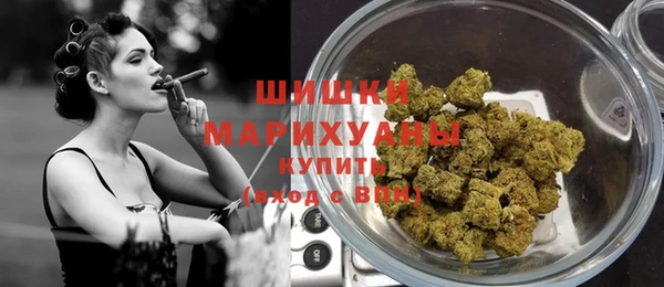 винт Гусь-Хрустальный