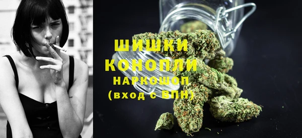 винт Гусь-Хрустальный