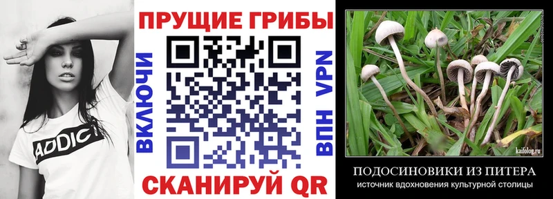 Галлюциногенные грибы Magic Shrooms Купить закладки Энем